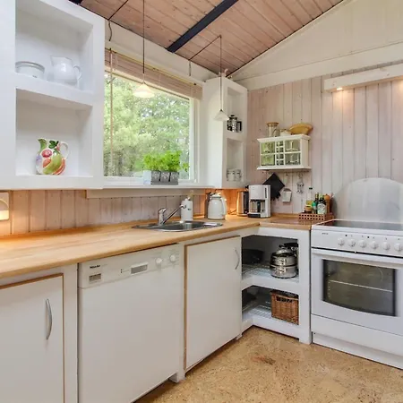 Heike - 1-3km From The Sea By Interhome * Blokhus